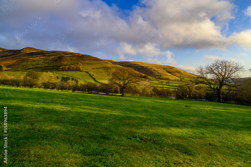 landscape with grass and sky