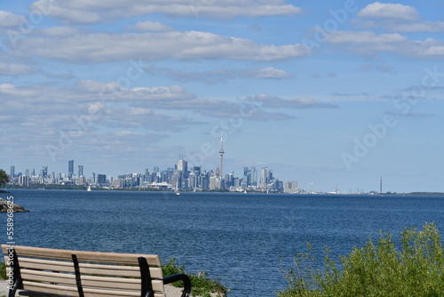 Toronto seen from Jack Darling Park in summer  photo