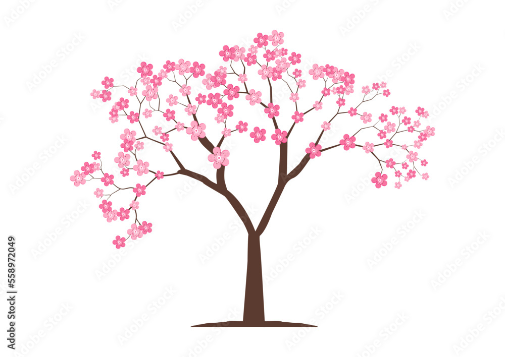 Cherry blossom tree on flat style vector isolated on white background