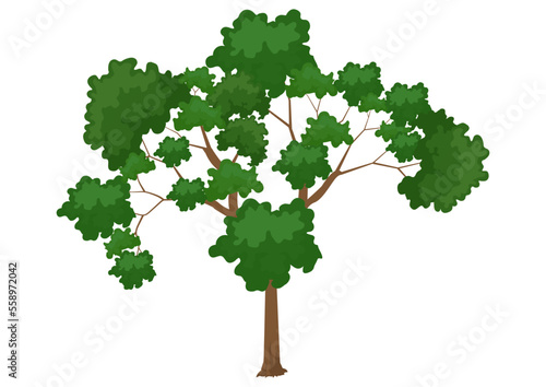 Clipart tree isolated on white background vector