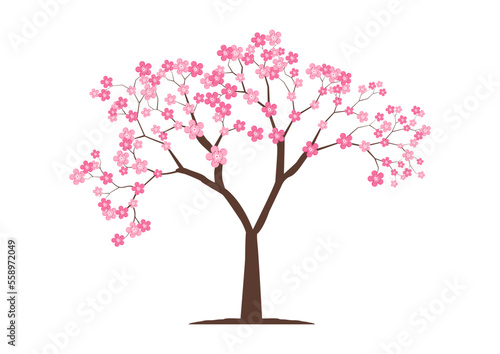 Cherry blossom tree on flat style vector isolated on white background