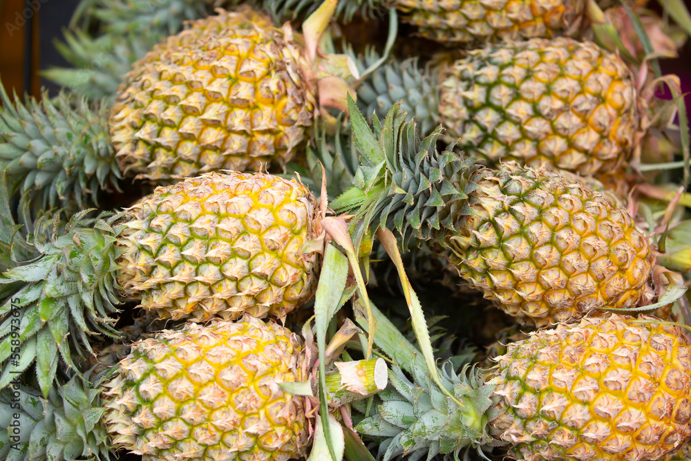 Pineapples close-up as a background. Harvest of pineapples lie in a pile. Fresh tropical fruits.