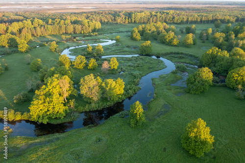 Forest in summer colors. Green deciduous trees and winding blue river in sunset. Soomaa wooded meadow, Estonia, Europe