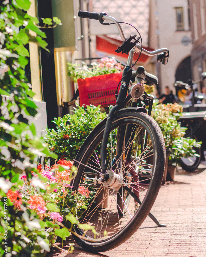A bike sorruonded by flowers and plants in a street in Amsterdam, Netherlands