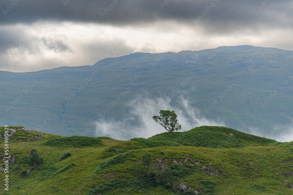 Highlands
