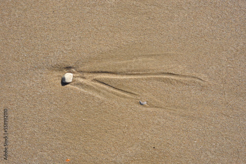 Background created from the sand on the beach.