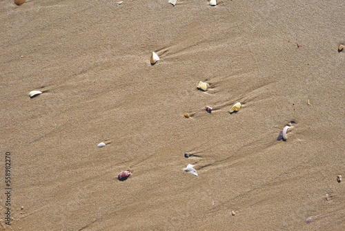 Background created from the sand on the beach.