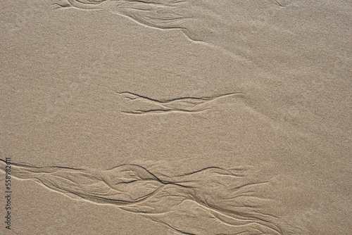 Background created from the sand on the beach.