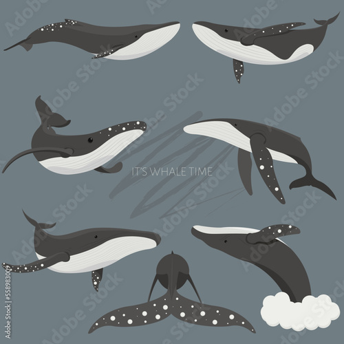 An vector set of illustrations of a whales in scandinavian colors. Underwater world, Marine life. Vector illustration of a whale. Save the ocean. World whale day