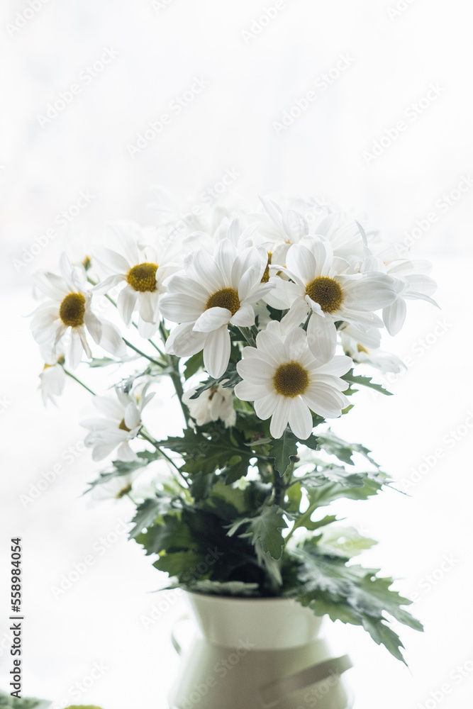a bouquet of white daisies close-up by the window against the backdrop of snow
