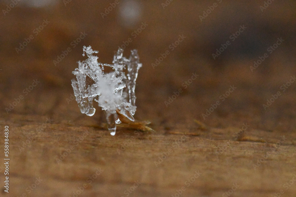 Macro photography of ice crystals Macro photography of ice crystals