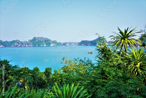 Zatoka Ha Long Bay  Wietnam