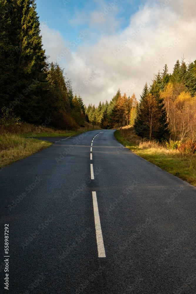 Rural road trip 