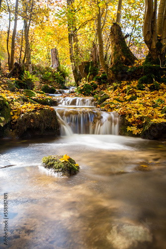 mossy stone in creek in sunlight with golden yellow maple leaf on it and small waterfall in blurred background long exposure