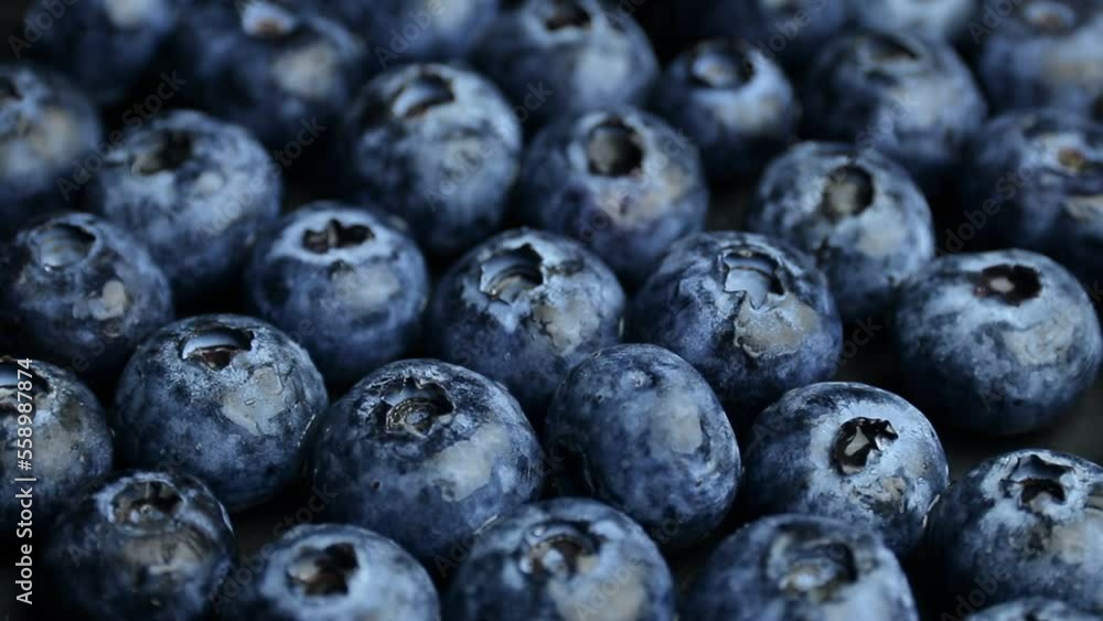 blueberries close up, blueberry fruits blueberries close up, blueberry fruits