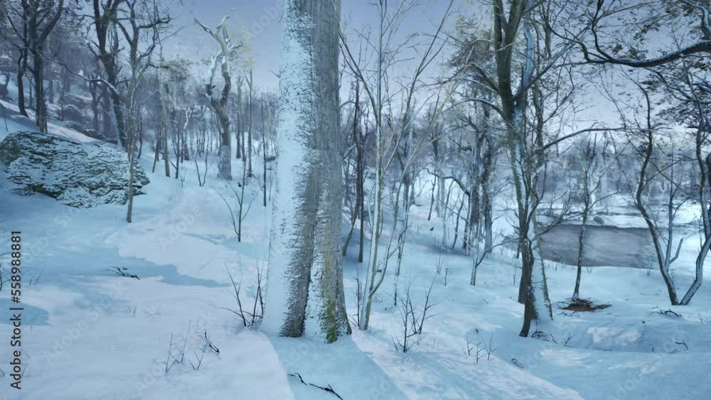 Warm winter sunset shining through a forest with tall pine trees Warm winter sunset shining through a forest with tall pine trees