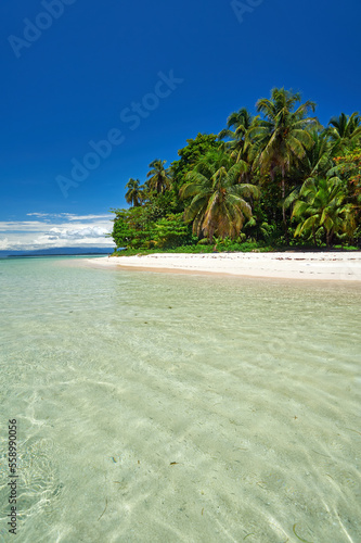 Tropical island in the Caribbean sea