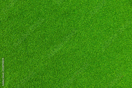 Green grass texture background. Grass garden concept for a football pitch, golf course, soccer, backyard lawn pattern. Indoor and outdoor turf. Lush nature for recreation places. Greenery, fresh land.