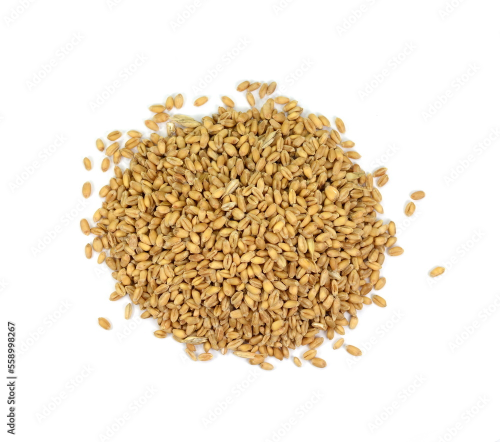 Wheat pile top view on white background Wheat pile top view on white background