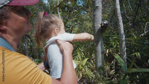 Family feed monkeys in the forest with banana photo