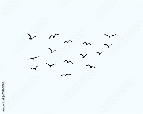 flock of bird design art