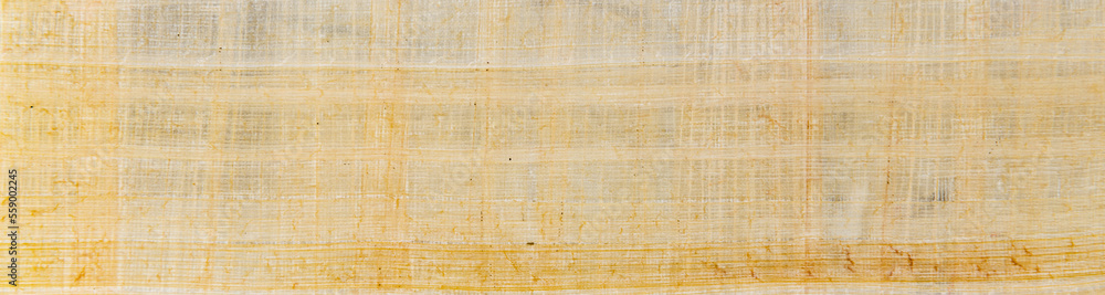 Fototapeta premium Panoramic banner of papyrus paper texture