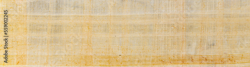 Panoramic banner of papyrus paper texture