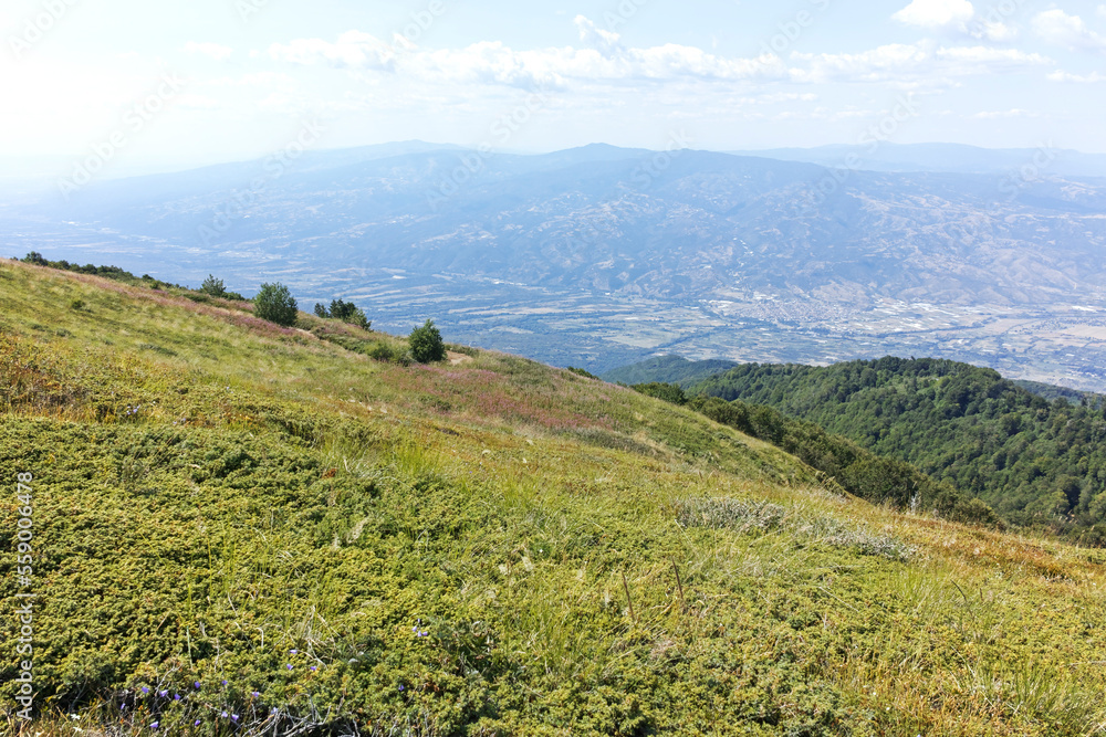Fototapeta premium Summer landscape of Belasitsa Mountain, Bulgaria
