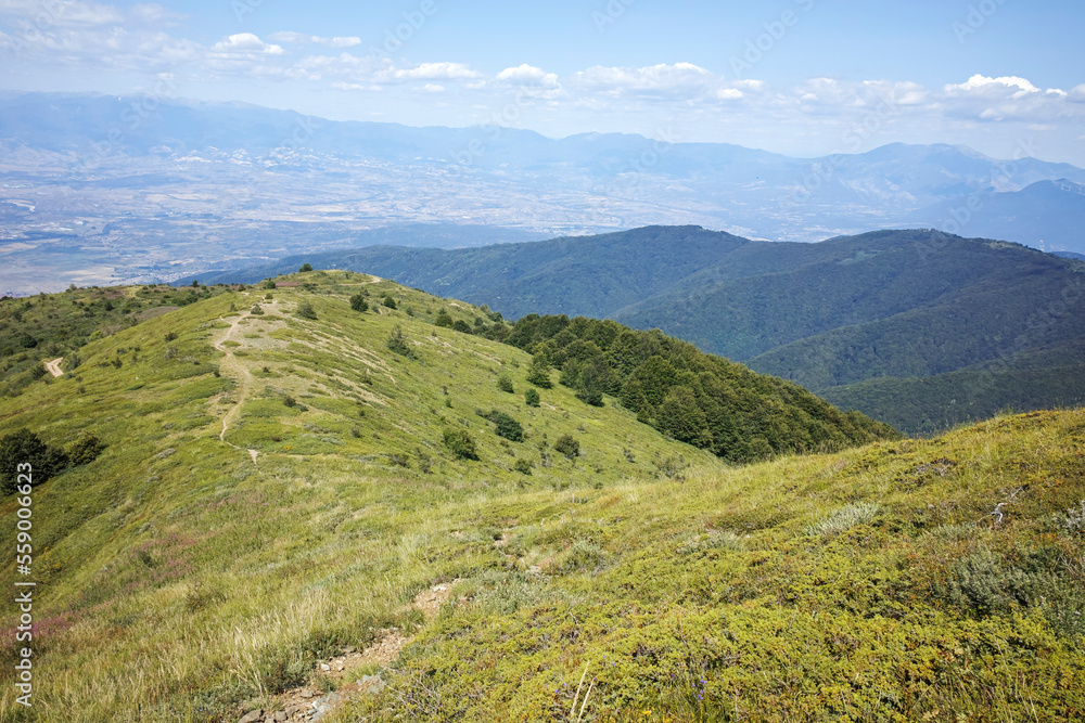 Naklejka premium Summer landscape of Belasitsa Mountain, Bulgaria