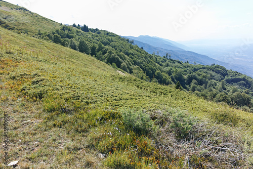 Summer landscape of Belasitsa Mountain, Bulgaria photo