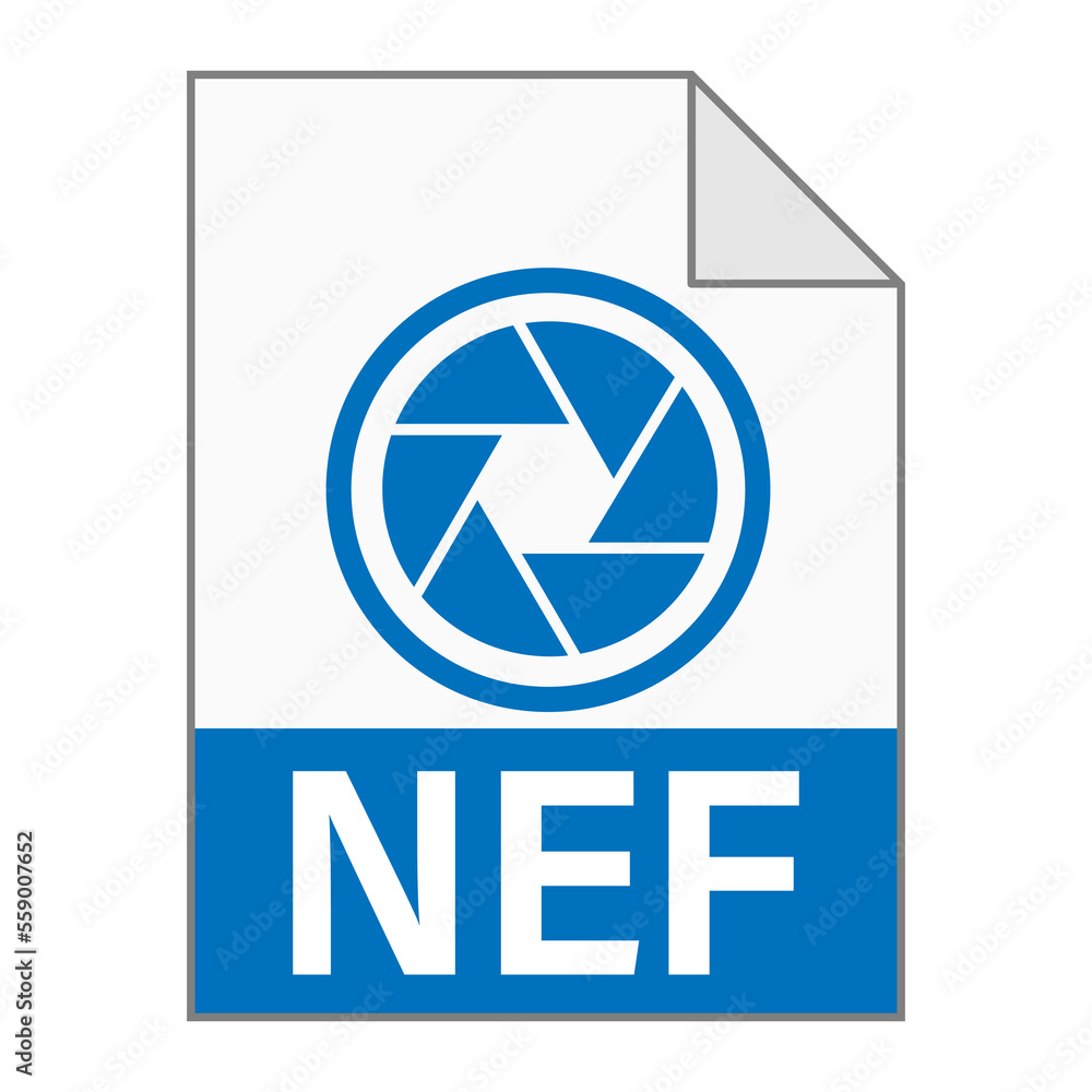 Modern flat design of NEF file icon for web Modern flat design of NEF file icon for web