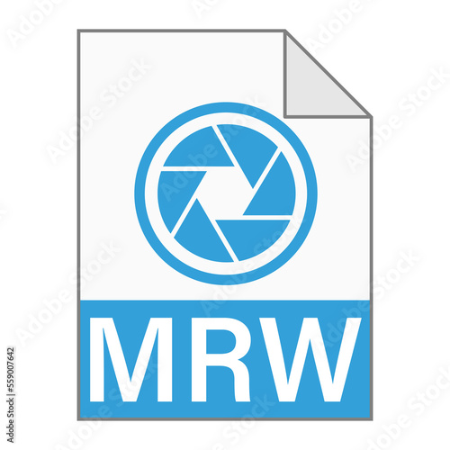 Modern flat design of MRW file icon for web