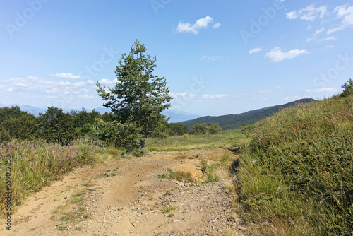 Summer landscape of Belasitsa Mountain, Bulgaria