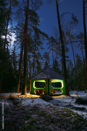 camping in the forest