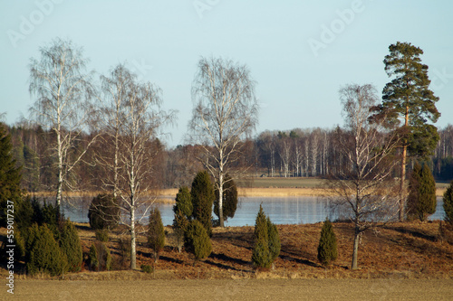 landscape with trees