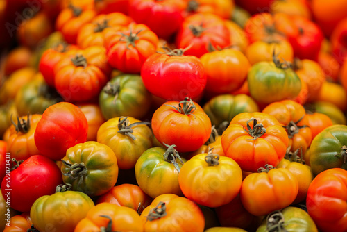 Fresh Colorful Tomatoes For Sale, Bologna, Italy