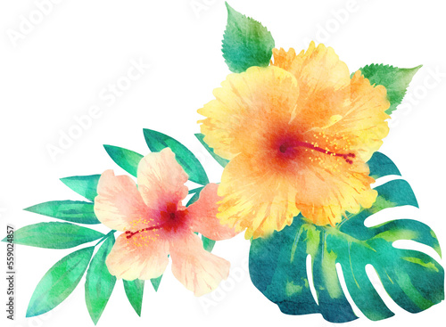 Watercolor Hibiscus Tropical Flower and Monstera Leaf Ornament Illustration