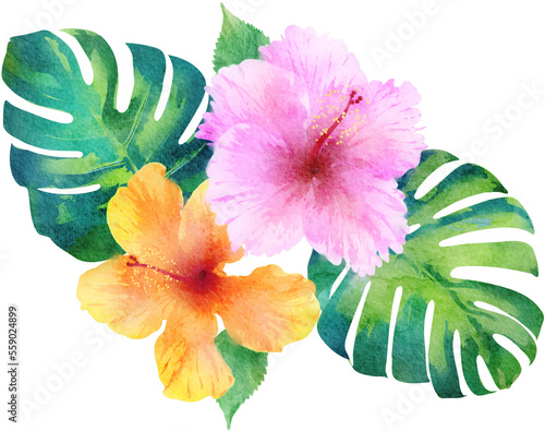 Watercolor Hibiscus Tropical Flower and Monstera Leaf Ornament Illustration