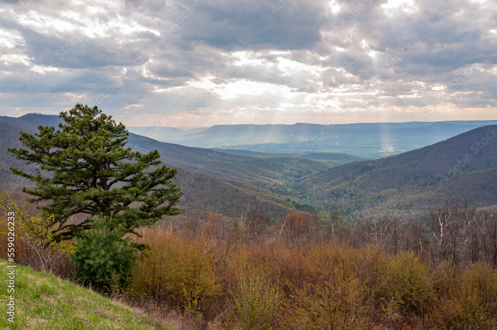 Early Spring in the Appalachian Mountains, Virginia USA, Virginia