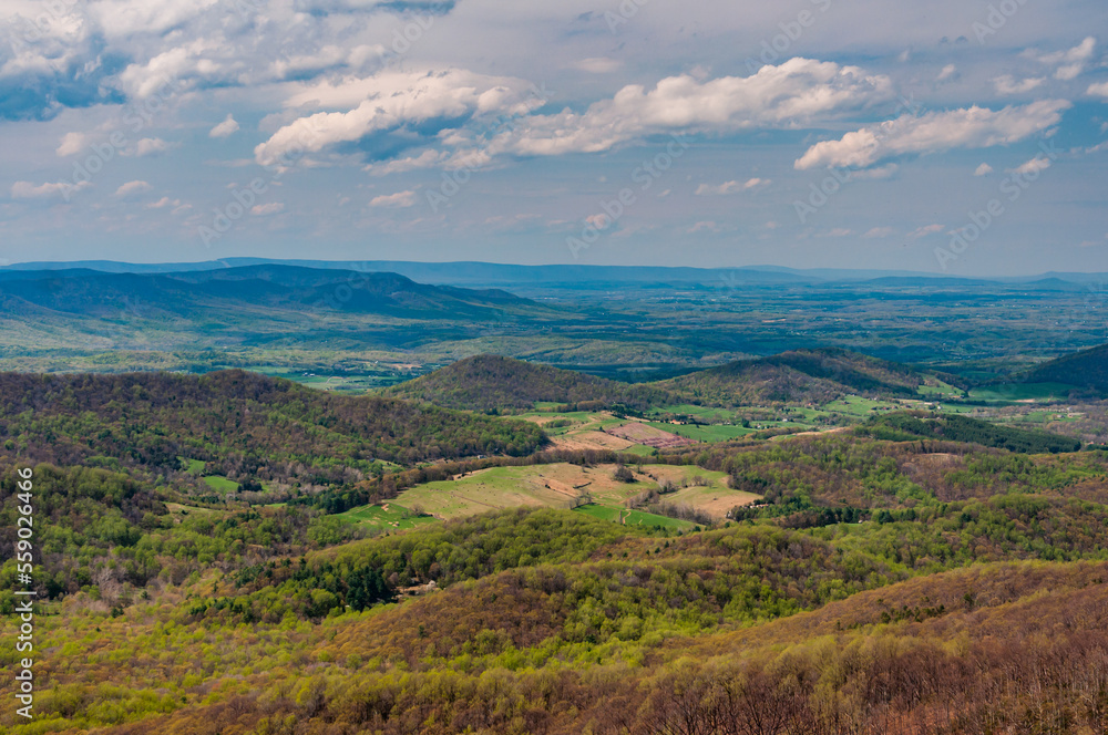 The Shenandoah Valley in Springtime, Virginia USA, Virginia