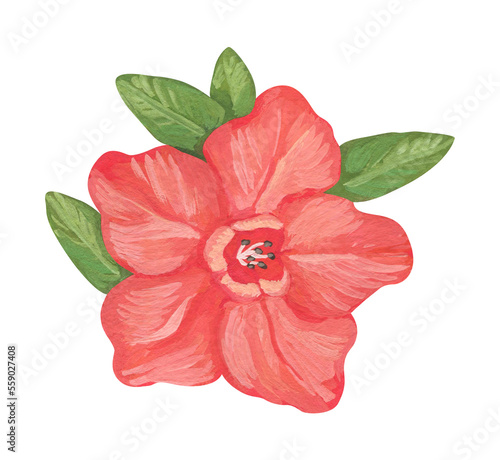 Isolated element. Tropical flower. Watercolor and gouache illustration. The print is used for packaging design, fabric.