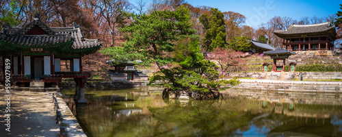 Panoramic view of Buyeongji Pond in the Huwon secret garden of Changdeokgung Palace with Buyongjeong Pavilion and Eosumun Gate leading to Juhamnu Pavilion, Seoul, South Korea.