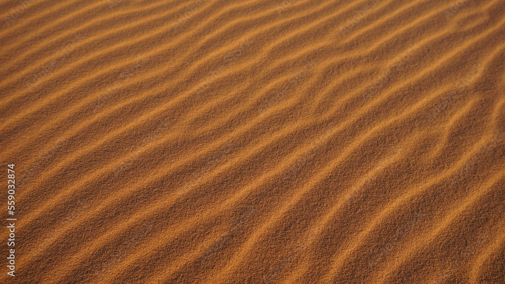 Sand ripples on a moroccan Sahara erg, near the settlement of Merzouga. Sand ripples on a moroccan Sahara erg, near the settlement of Merzouga.