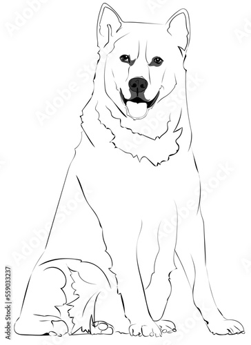 Husky dog rendered in brush strokes