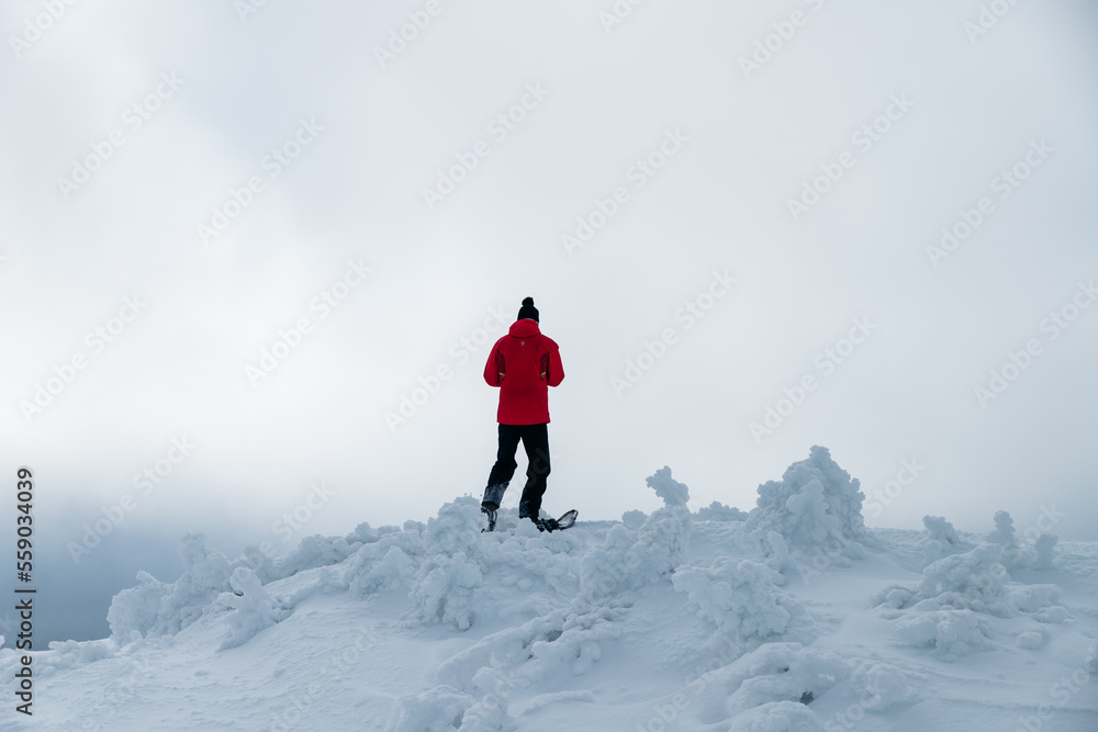 person on top of a mountain covered by snow person on top of a mountain covered by snow