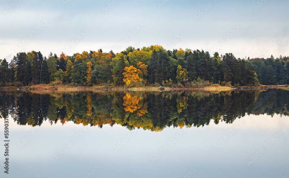 reflective autumn landscape with lake in sweden
