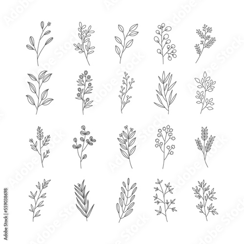 set of elements botanical 