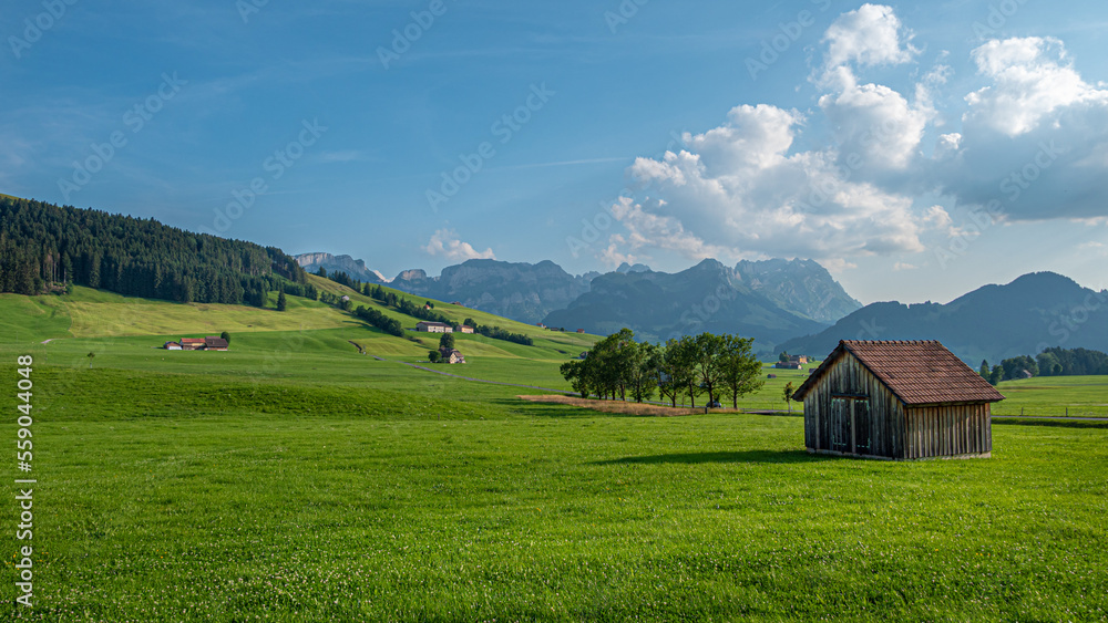 Typical view in the Swiss Alps - amazing Switzerland - travel photography Typical view in the Swiss Alps - amazing Switzerland - travel photography