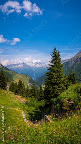 Amazing nature on the top of the mountains in the Swiss Alps with a wonderful view - travel photography