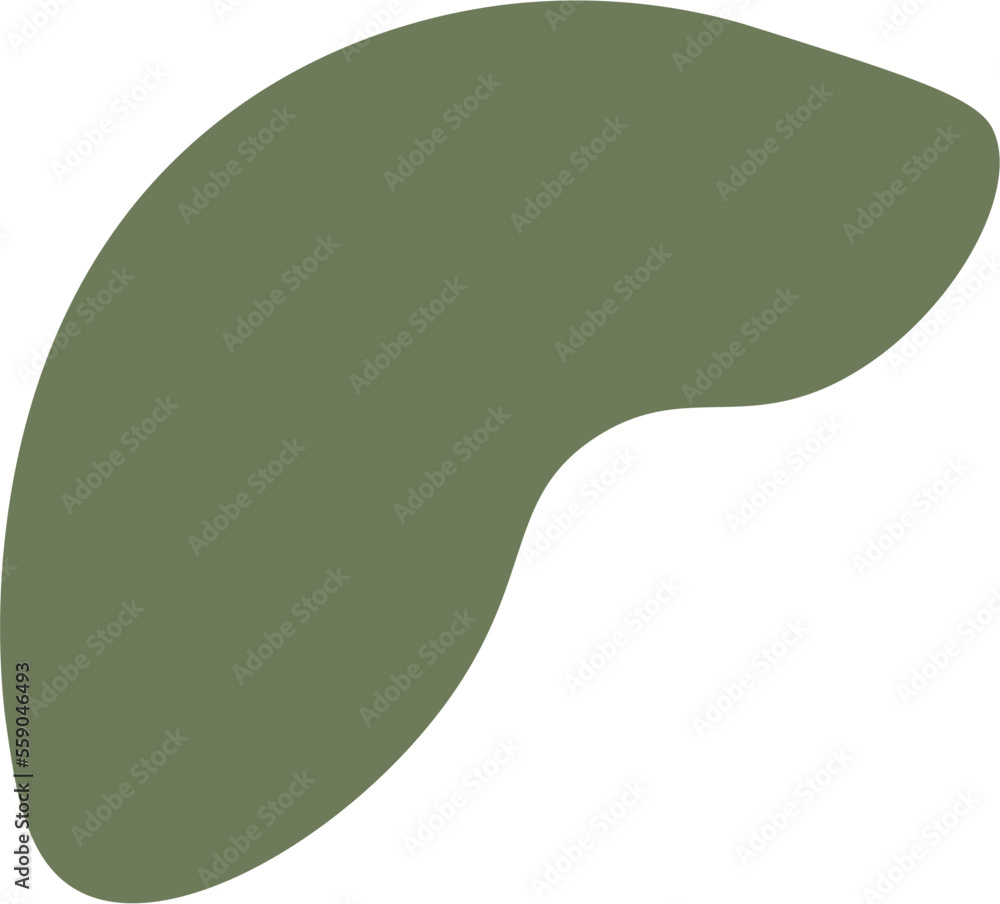 Boho Illustration Shape Boho Illustration Shape